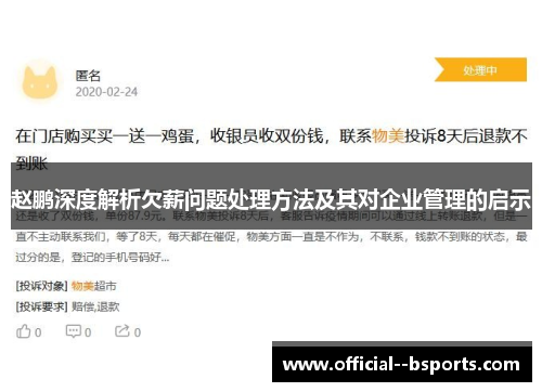 赵鹏深度解析欠薪问题处理方法及其对企业管理的启示