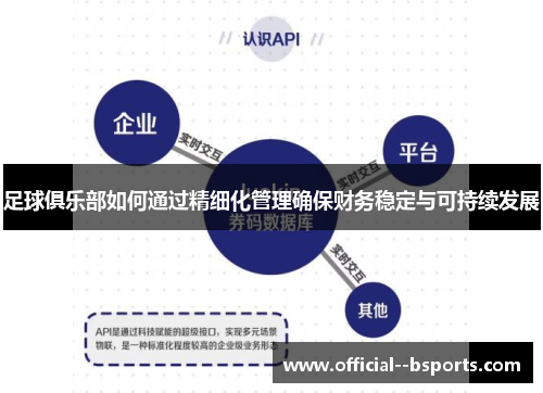 足球俱乐部如何通过精细化管理确保财务稳定与可持续发展 足球俱乐部如何通过精细化管理确保财务稳定与可持续发展