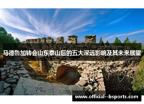 马德鲁加转会山东泰山后的五大深远影响及其未来展望