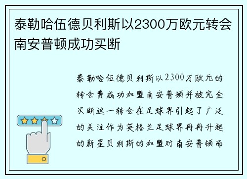 泰勒哈伍德贝利斯以2300万欧元转会南安普顿成功买断