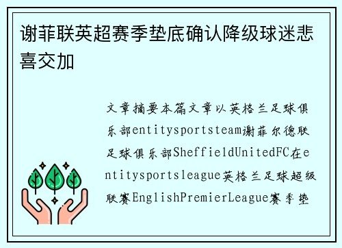 谢菲联英超赛季垫底确认降级球迷悲喜交加